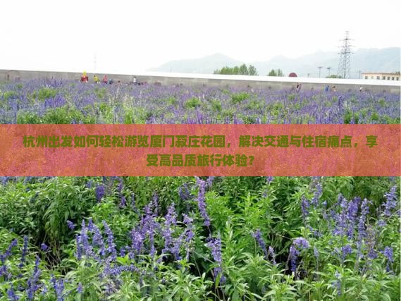 杭州出发如何轻松游览厦门菽庄花园，解决交通与住宿痛点，享受高品质旅行体验？