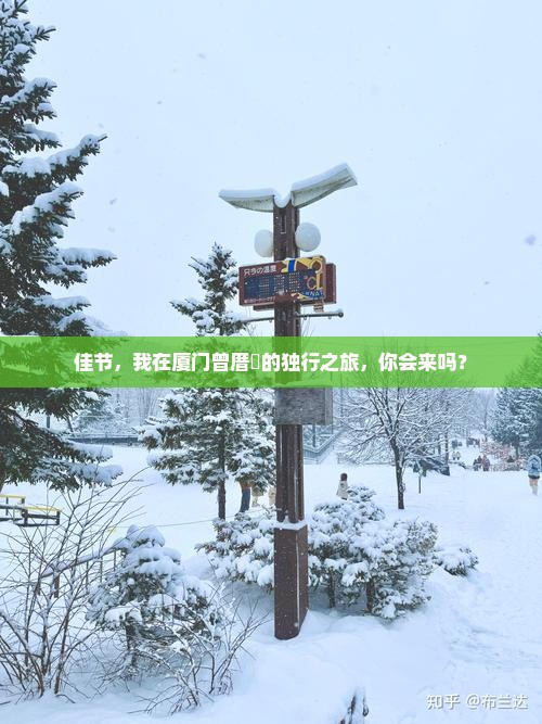 佳节，我在厦门曾厝垵的独行之旅，你会来吗？