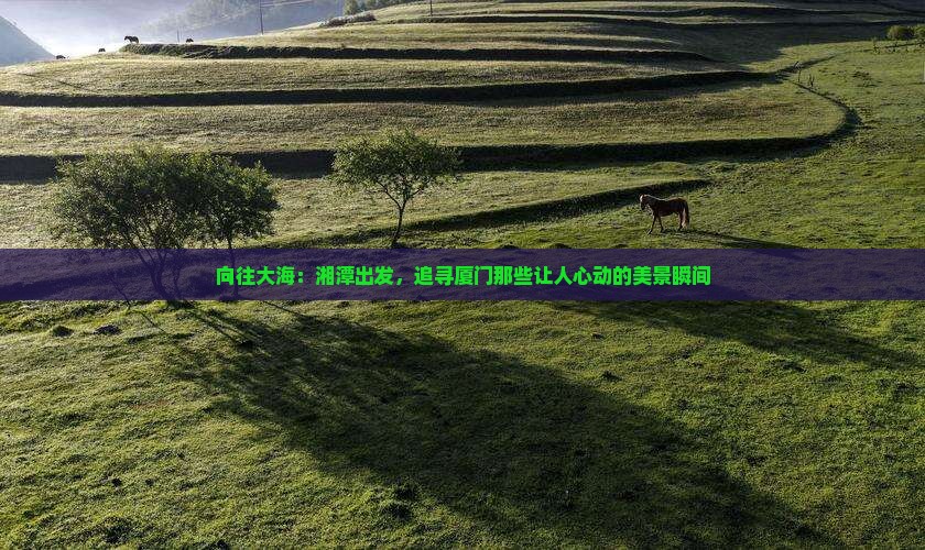 向往大海：湘潭出发，追寻厦门那些让人心动的美景瞬间