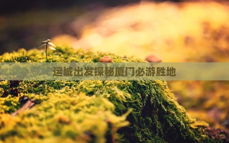 运城出发探秘厦门必游胜地
