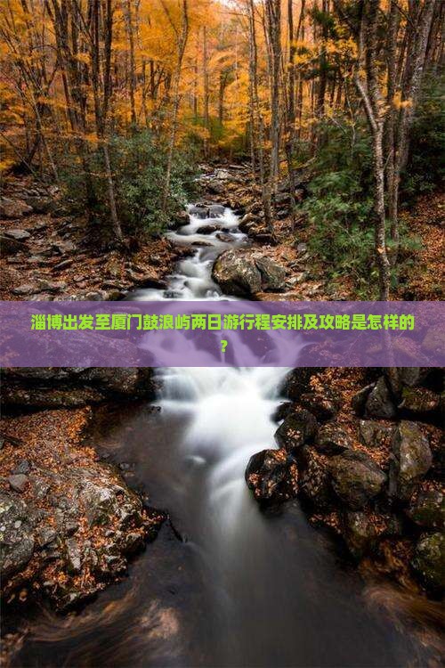 淄博出发至厦门鼓浪屿两日游行程安排及攻略是怎样的？