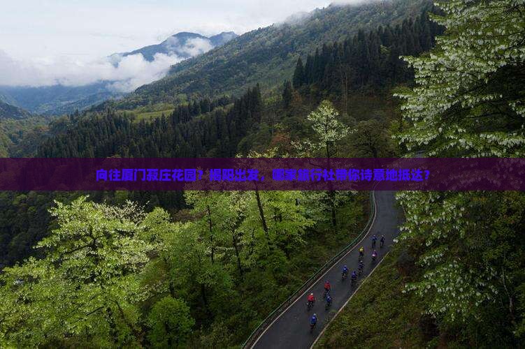 向往厦门菽庄花园？揭阳出发，哪家旅行社带你诗意地抵达？
