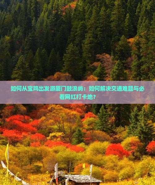 如何从宝鸡出发游厦门鼓浪屿：如何解决交通难题与必看网红打卡地？
