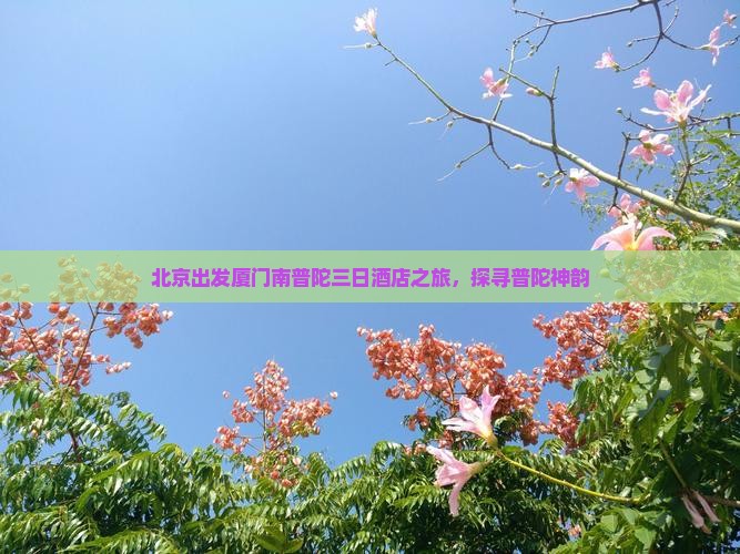 北京出发厦门南普陀三日酒店之旅，探寻普陀神韵