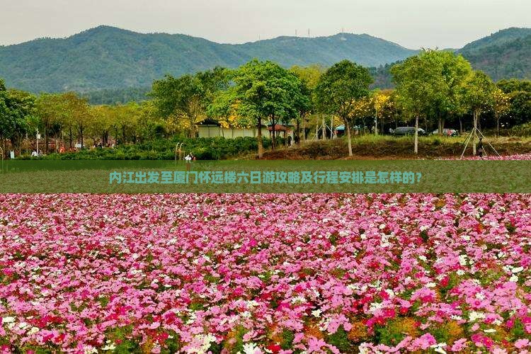 内江出发至厦门怀远楼六日游攻略及行程安排是怎样的？