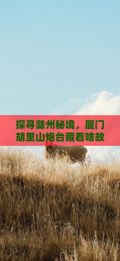 探寻滁州秘境，厦门胡里山炮台藏着啥故事？