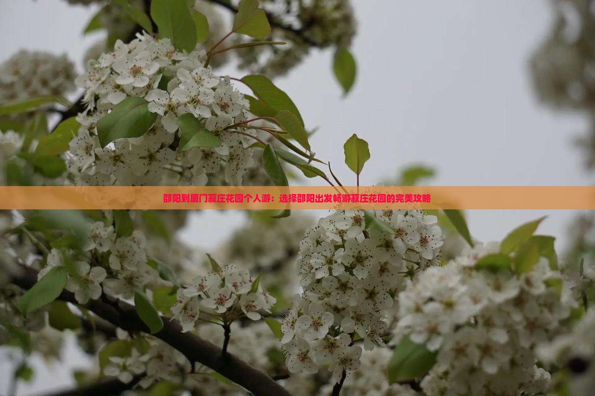 邵阳到厦门菽庄花园个人游：选择邵阳出发畅游菽庄花园的完美攻略