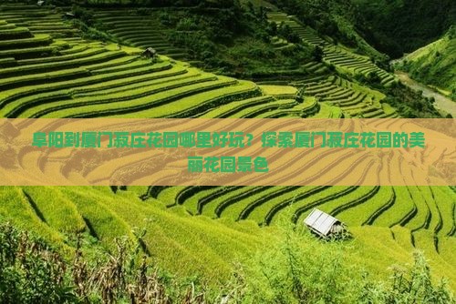 阜阳到厦门菽庄花园哪里好玩？探索厦门菽庄花园的美丽花园景色
