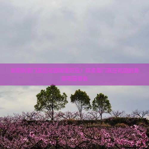 阜阳到厦门菽庄花园哪里好玩？探索厦门菽庄花园的美丽花园景色