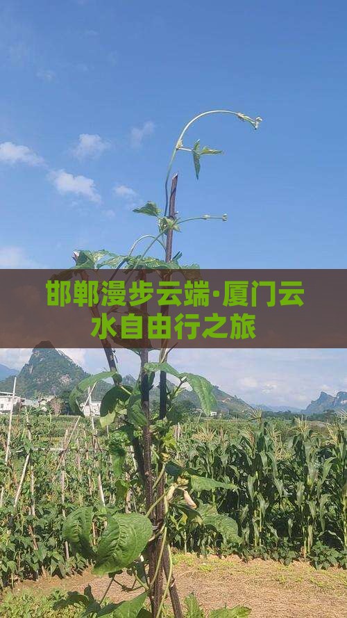 邯郸漫步云端·厦门云水自由行之旅