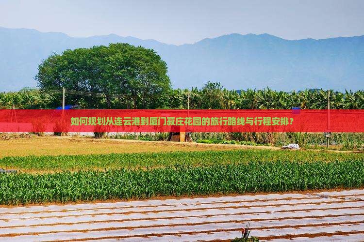 如何规划从连云港到厦门菽庄花园的旅行路线与行程安排？