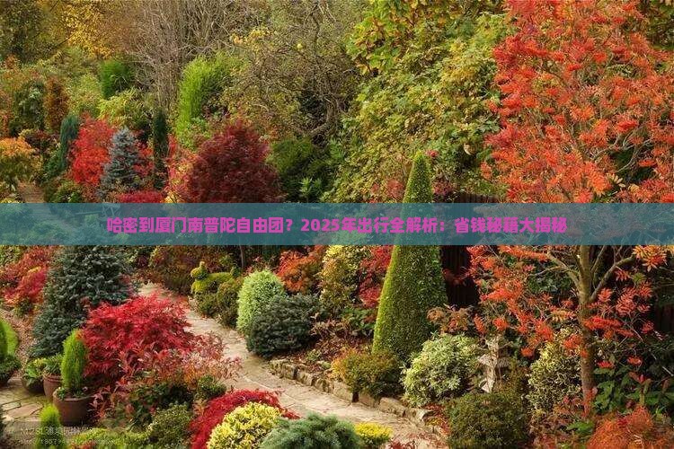哈密到厦门南普陀自由团