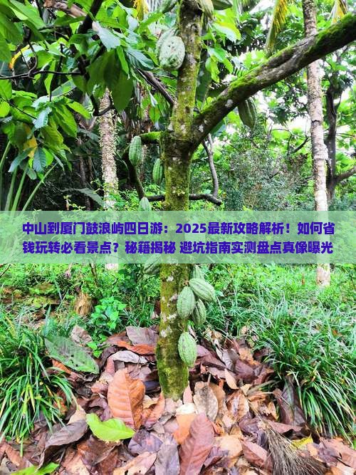 中山到厦门鼓浪屿四日游