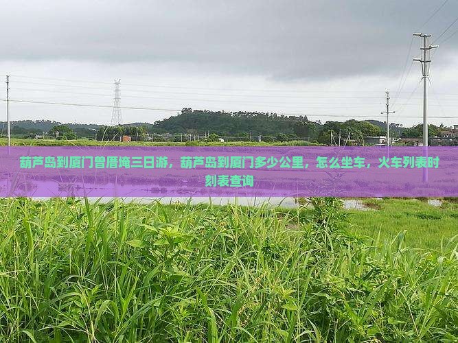葫芦岛到厦门曾厝埯三日游