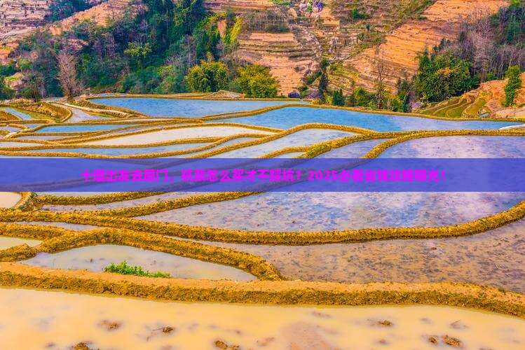 十堰去厦门门票