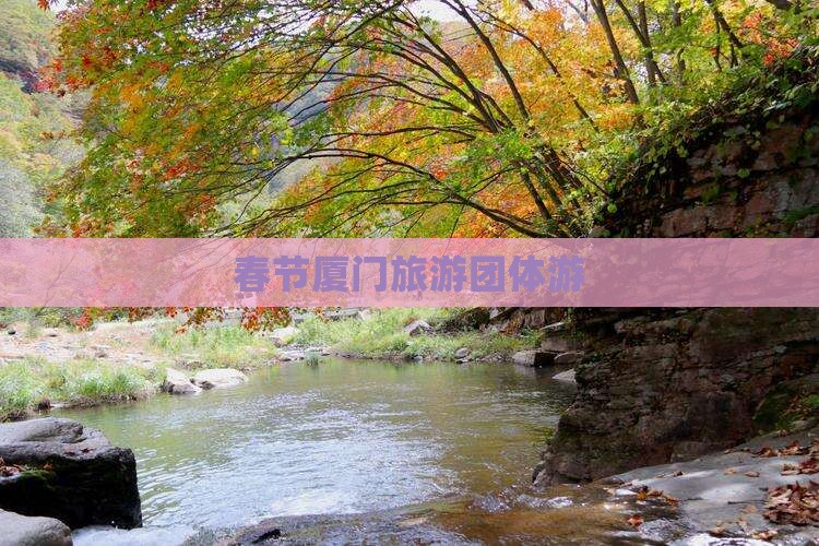 春节去厦门团体旅游