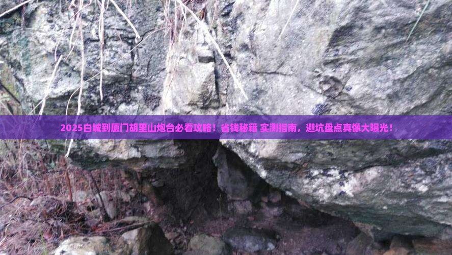 白城到厦门胡里山炮台旅行社