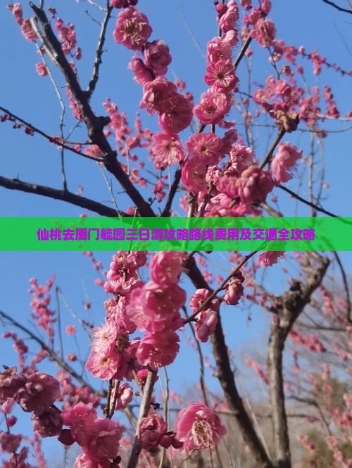 仙桃去厦门毓园三日游