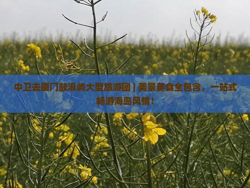 中卫去厦门鼓浪屿大型旅游团