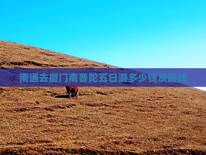 南通去厦门南普陀五日游