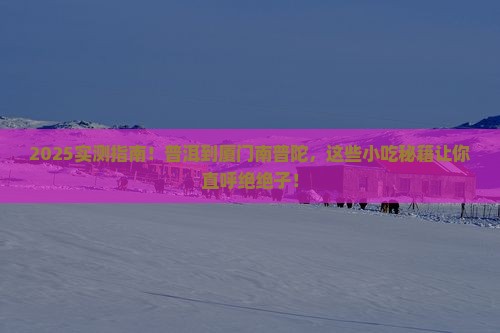 普洱到厦门南普陀旅游小吃