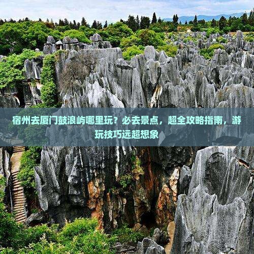 宿州去厦门鼓浪屿哪里玩