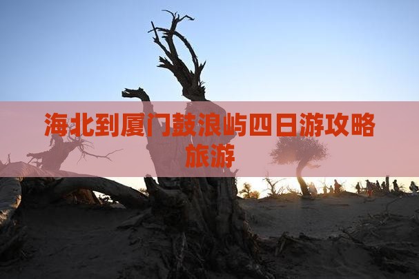 海北到厦门鼓浪屿四日游