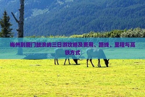 梅州到厦门鼓浪屿三日游 梅州到厦门鼓浪屿三日游