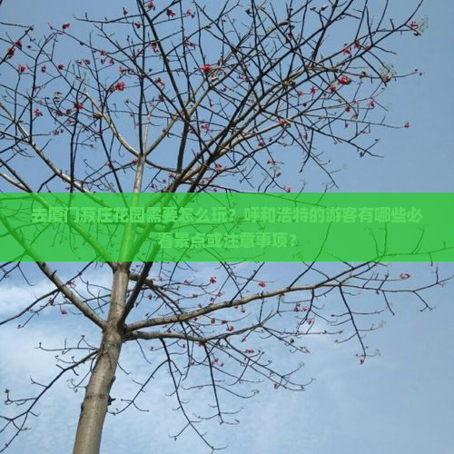 呼和浩特去厦门菽庄花园哪里玩
