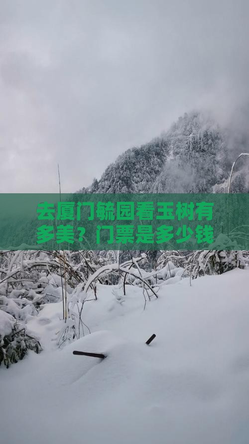 玉树去厦门毓园门票