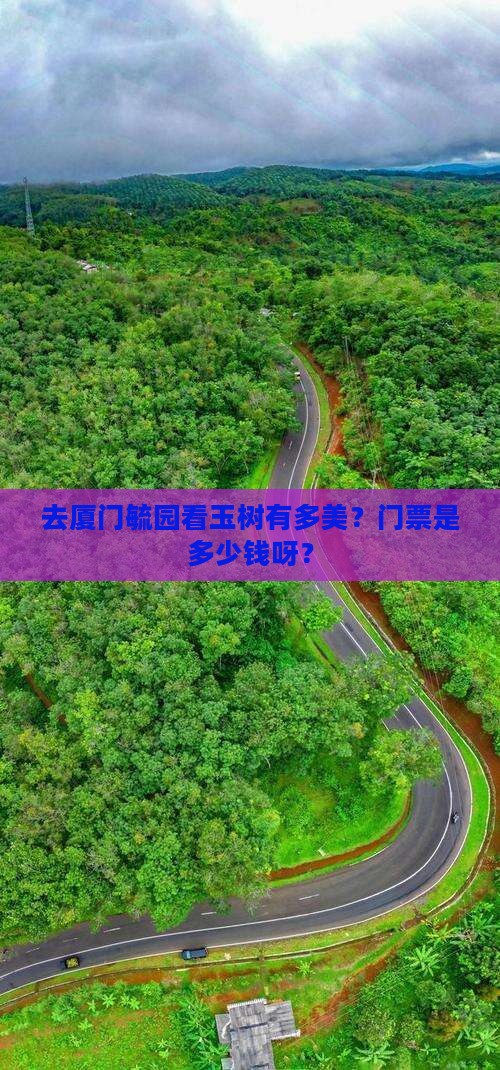 玉树去厦门毓园门票