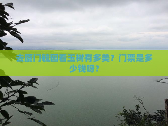 玉树去厦门毓园门票