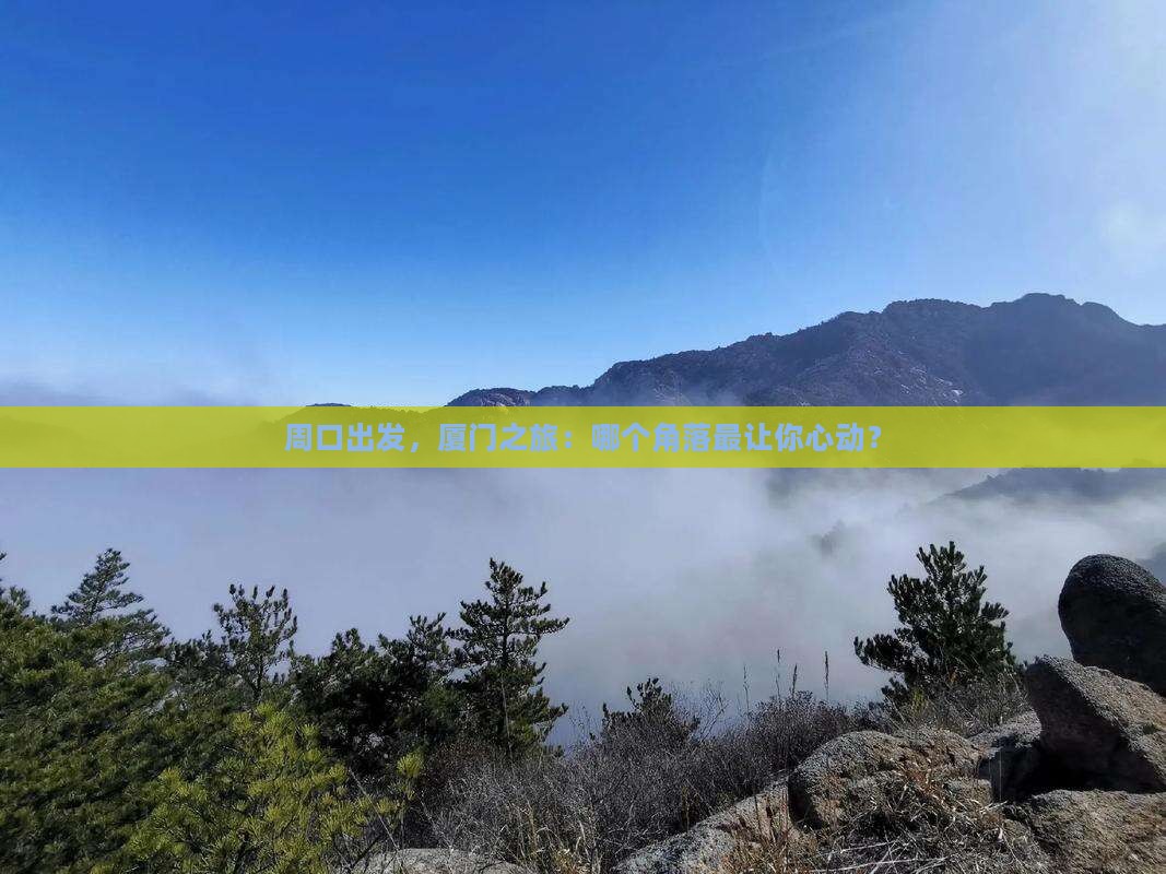 周口到厦门哪里玩
