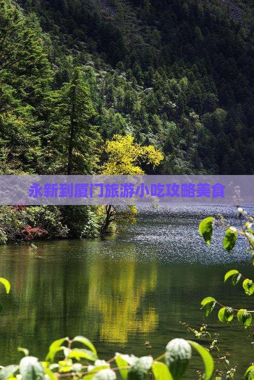 永新到厦门旅游小吃