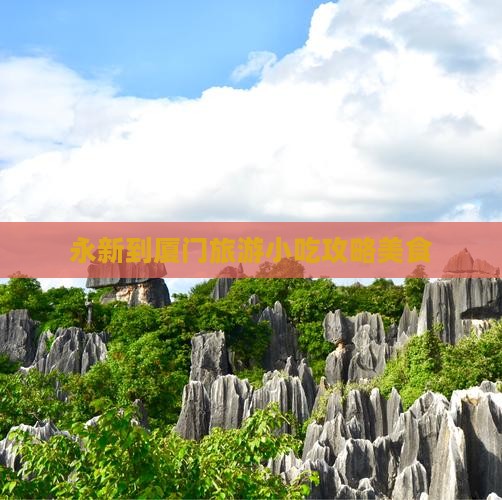 永新到厦门旅游小吃