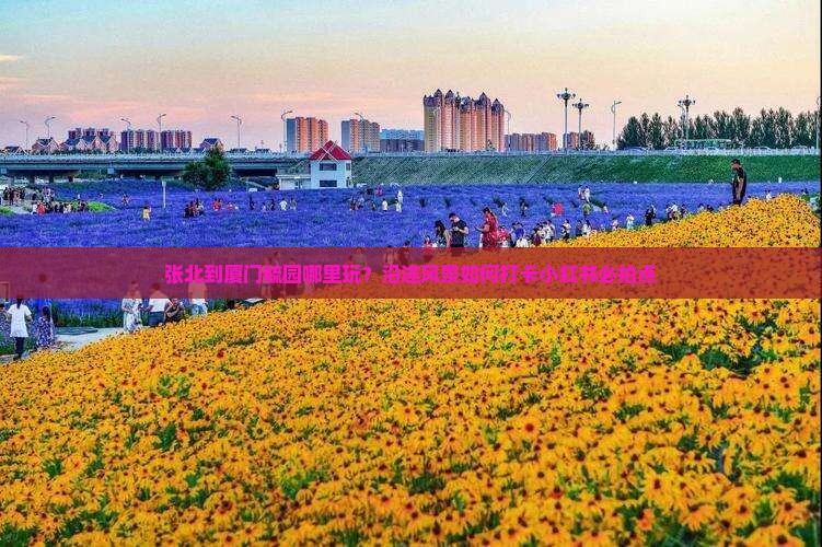 张北到厦门毓园哪里玩