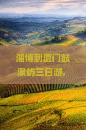 淄博到厦门鼓浪屿三日游