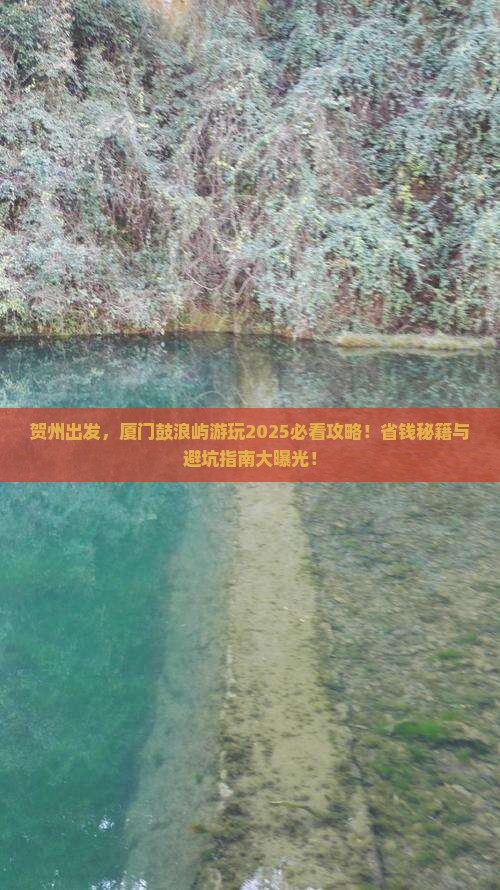 贺州到厦门鼓浪屿景点