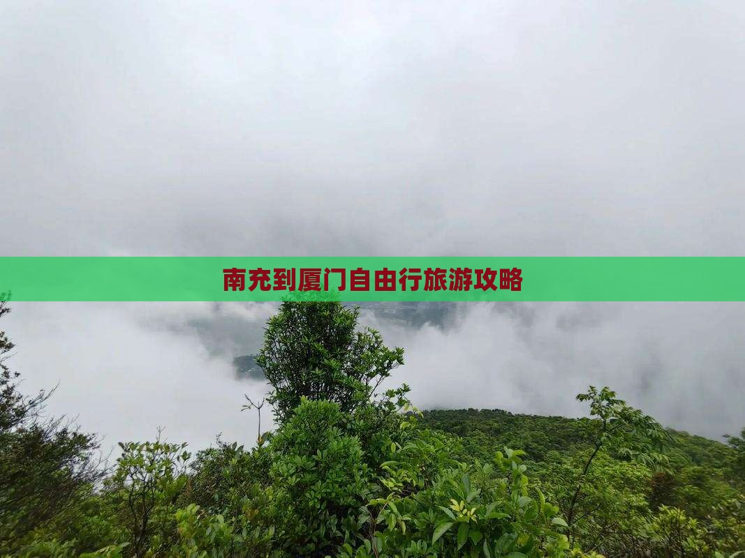 南充到厦门自由行