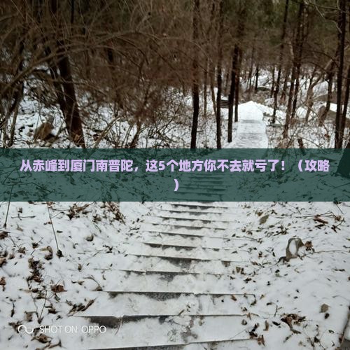 赤峰到厦门南普陀必去地