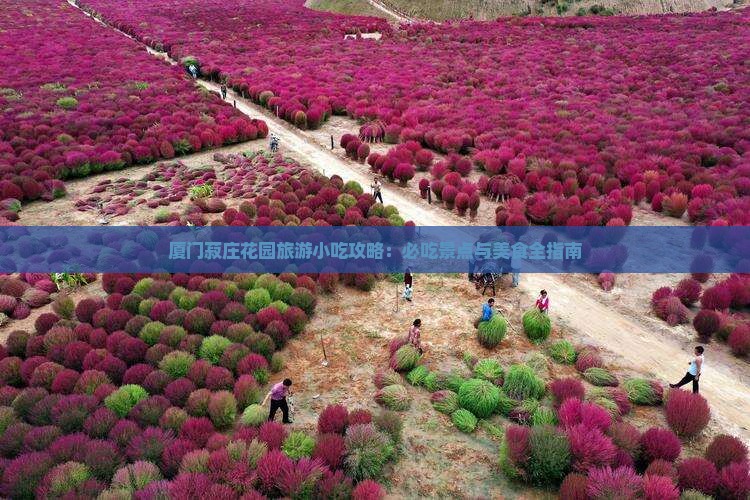 六月到厦门菽庄花园旅游小吃