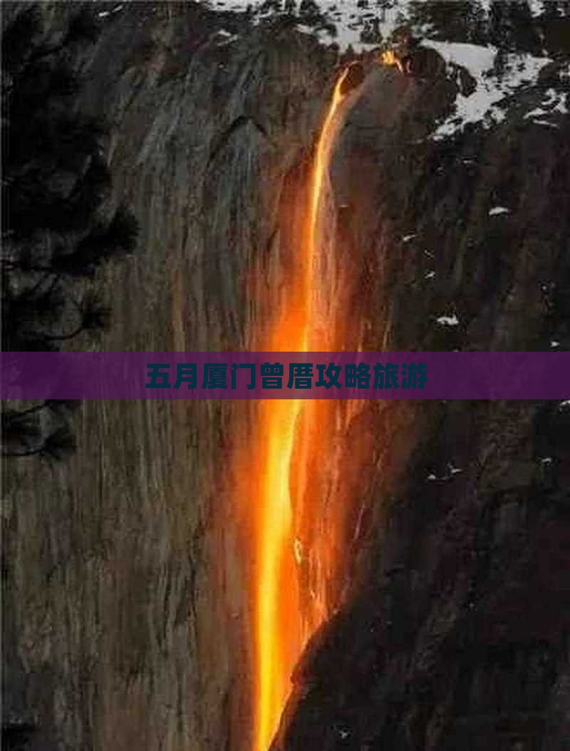 五月去厦门曾厝埯团体旅游