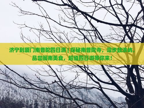 济宁到厦门南普陀四日游
