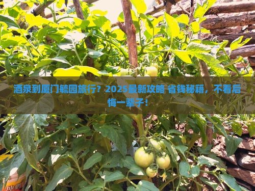 酒泉到厦门毓园旅行社