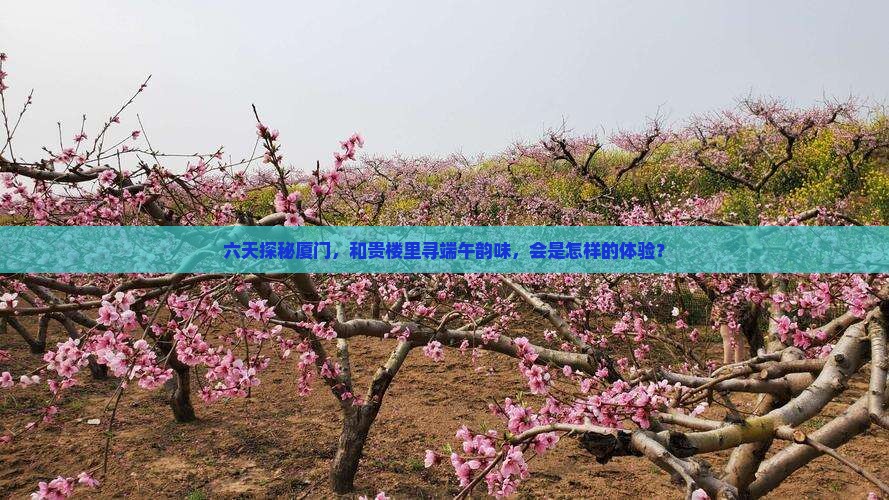 六天探秘厦门，和贵楼里寻端午韵味，会是怎样的体验？