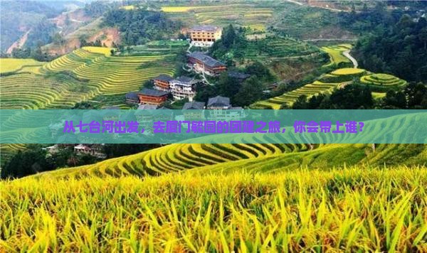 从七台河出发，去厦门毓园的团建之旅，你会带上谁？