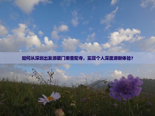 如何从深圳出发游厦门南普陀寺，实现个人深度游新体验？