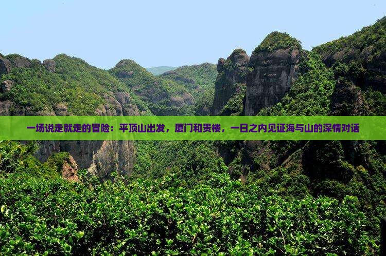 一场说走就走的冒险：平顶山出发，厦门和贵楼，一日之内见证海与山的深情对话