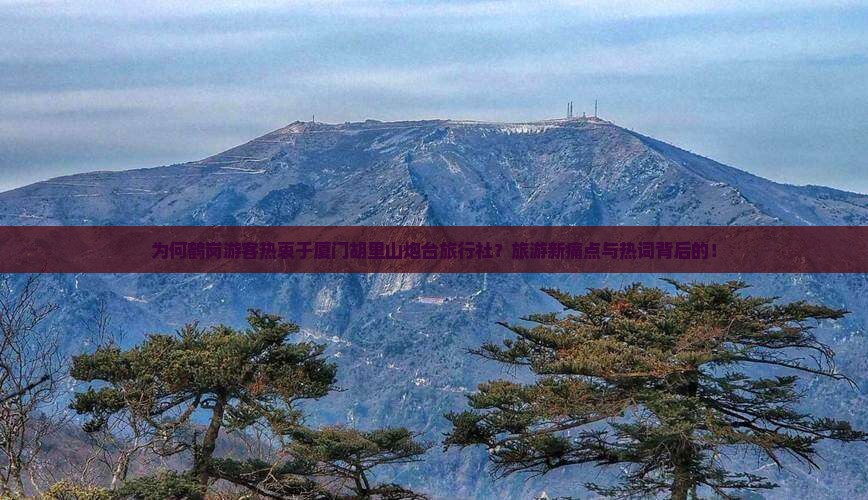 为何鹤岗游客热衷于厦门胡里山炮台旅行社？旅游新痛点与热词背后的！