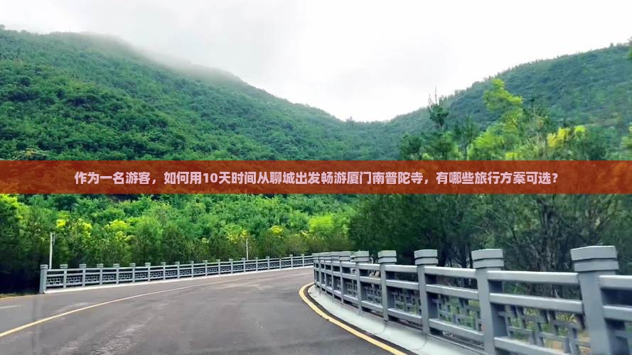 作为一名游客，如何用10天时间从聊城出发畅游厦门南普陀寺，有哪些旅行方案可选？